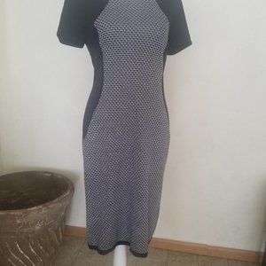 Ann Taylor Winter White Modern Navy Black Dress. Small